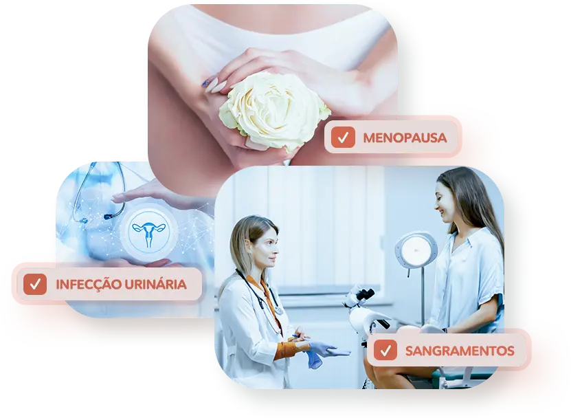 Ginecologia 3 Problemas Centrais